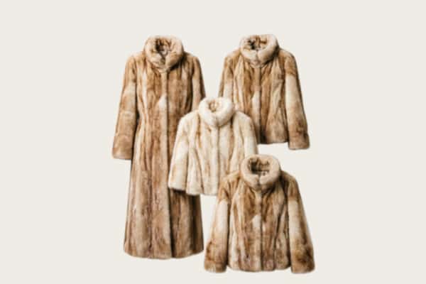 东兴区回收皮草衣服